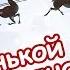 Маленькой елочке холодно зимой караоке для детей