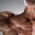 Superset Your Chest And Back In One Workout