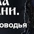 Ведическая школа Русколани В поисках Беловодья Светлана Алафинова Часть 2