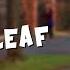 Telekileaf A Short Film About An Angry Leaf By Luke Cutforth