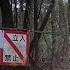 BANNED VIDEO Japan S Most Haunted Forest Aokigahara 青木ヶ原 Demon Caught On Camera