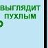 Жирный Дрыщ Научное Решение 3 Шага Джереми Этье