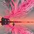 Discover The Hidden Beauty Of Nature Shorts Nature Relax Amazing