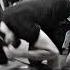 This Is The Core Abs Training You Can Use It For Your Abs Training Shorts Youtubeshorts Shorts