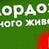 5 упражнений при гиперлордозе как убрать выпячивание живота КИНЕЗИТЕРАПИЯ