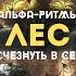 ПУТЕШЕСТВИЕ В ДРЕВНИЙ ВОЛШЕБНЫЙ ЛЕС ПЕСНИ ПТИЦ ГРОЗЫ И ДОЖДЯ АЛЬФА РИТМЫ СОН