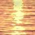 Claydee Faydee Who Acoustic Version Official Lyric Video