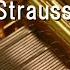 The Blue Danube Johann Strauss II Music Box
