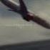 Past Lives Edit Shorts Sad Planecrash Credits To Planenboom AviationNation WonderDocs