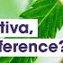 Indica Vs Sativa Is There A Difference Weed Easy