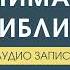 КУРС ПОНИМАНИЕ БИБЛИИ Дмитрий Андреев 19 09 2024