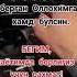 БАХТЛИМАН Shorts