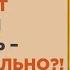 Нужно ли менять корм собаке или собака может есть один корм всю жизнь Как часто менять корм