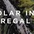 Polar Inc Regal Extended Mix