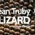 Solis Sean Truby Lizard Original Mix