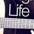 Martin Garrix Feat Bonn High On Life Fingerstyle Guitar Cover