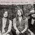 Whiskey Myers Stone Audio