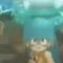 Wakfu This Is War