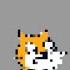 64 Bits 32 Bits 16 Bits Meme But It S Scratch Cat