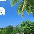 Музыка от навязчивых мыслей Для глубокого и здорового сна Relax Music