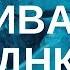 Наталья Шереметьева Активация ДНК