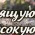 Красивые Стихи и Пожелания для Души Отправь Это тем Кого Любишь Владимир Федоров