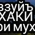 Мавзуйъ дар бораи ХАКИ Хамсоя навори мухим