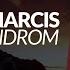 Narcis Syndrom Original Mix