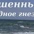 Заброшенный дом А Белый стихи Пустое родное гнездо грусть тоска всё прошло