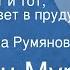 Лилиан Мур Крошка Енот и тот который живет в пруду Сказка Читает Клара Румянова