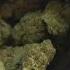 Texas Is One Step Closer To Banning All THC Products FOX 7 Austin