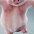 Pig Dance 01 Pig Animals Tiktok