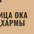 Восемь пробуждений великих существ Догэн последняя глава Сокровищницы ока истинной Дхармы