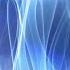 Entangled