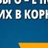 Буквы о ё после шипящих в корнях слов