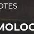 TOP 20 Quotes About Epistemology Daily Quotes Quotes For You Soul Quotes