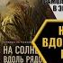 НА СОЛНЦЕ ВДОЛЬ РЯДОВ КУКУРУЗЫ ЭКСКЛЮЗИВНЫЙ ФРАГМЕНТ