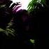 CS2 Counter Strike 2 Main Menu Theme Song EPIC Version