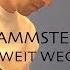 RAMMSTEIN Weit Weg Riff Walkthrough