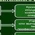 Тема Доверительное управление