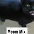 Meow Mix