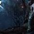 The Witcher 3 Wild Hunt EXTENDED OST Emhyr Var Emreis Theme