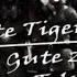 Battlefield V The Last Tiger Tribute