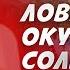 Розыгрыши каждые 20 минут Разыграли уже 18 Рапторов и 15 Венг Набор в команду Дети Мальцевидзе