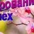 Медитация Программирование на Успех тренировка