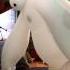 Disney S BIG HERO 6 Clip Discovery