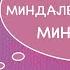 Амигдала Миндалевидное тело Стресс ПТСР депрессия тревожность медитация Бонус 5 лайфхаков