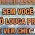 Fico Assim Sem Você Adriana Calcanhotto Karaoke With Lyrics