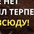 Дача в Германии Столько слизней мы еще никогда не видели Как выгнать их с участка Что нам делать