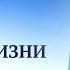 Как пережить утрату близкого нам человека Как души наших предков приходят в наши жизни